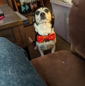 Meet your Posher, Tracy